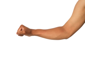 Brown Skin Arm Flexed Fist Studio Shot In Focus High Resolution Image No Watermarks No Defects Or png