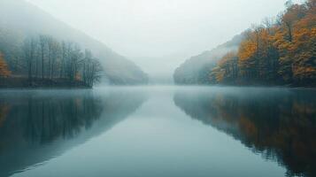 A foggy river in the middle of a forest photo