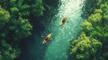 Two people in kayaks on a river through a lush green forest photo