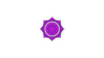 Sahasrara crown chakra symbol rotating in magenta 2D cartoon object animation. Spiritual enlightenment, divine connection. Sacred geometry animated flat colorful item 4K isolated on white video