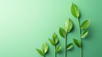 Growth Concept with Green Leaves on Gradient Background Symbolizing Progress and Development photo