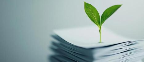 ESG Investing Trends Concept. A sprouting green plant emerges from a stack of white papers, symbolizing growth, sustainability, and the intersection of nature and documentation. photo