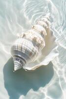 A spiral seashell with intricate patterns rests on a sandy beach in warm sunlight and shimmering water photo