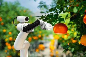 The concept of a agricultural robot technology to work instead of humans photo