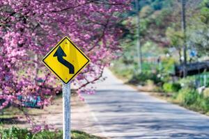Travel warning signs are placed on the side of the road among suburban trees, such as Wild Himalayan Cherry, when Sakura trees are in full pink bloom and shade the walkways. photo