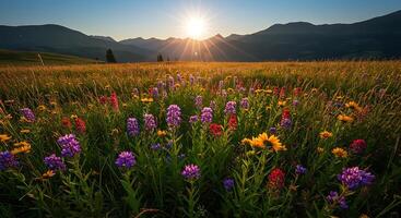 Wildflower Meadow at Sunrise with Mountain Backdrop and Golden Light photo