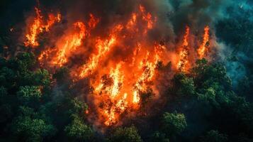 An aerial view of a forest fire photo