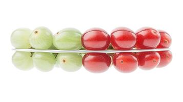 Close-up of vibrant green and red tomatoes arranged in a linear pattern on a white background photo