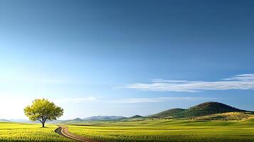 Serene landscape featuring a solitary tree beside a winding road under a clear blue sky photo