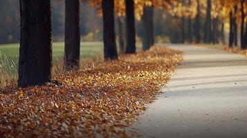 Serene autumn pathway lined with vibrant trees and fallen leaves in a tranquil park setting photo