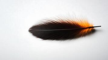A close-up shot of a vibrant black and orange feather resting on a soft white surface photo