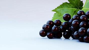 A close-up view of fresh black grapes with green leaves on a smooth white surface photo