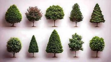 Various types of trees displayed in a grid format showcasing different shapes and foliage photo