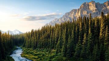 Serene river winding through lush green forest with majestic mountains in the background photo