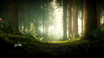 Serene forest pathway illuminated by soft sunlight, surrounded by lush greenery and vibrant flora photo
