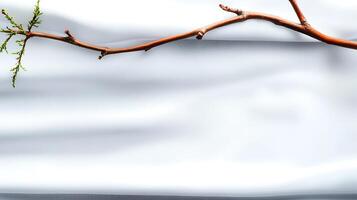 A delicate branch with green leaves resting on a smooth white fabric background, evoking tranquility photo