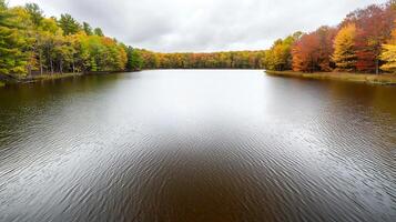 Tranquil autumn lake scene reflecting colorful foliage under a cloudy sky photo