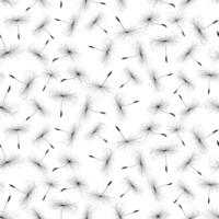 Background with dandelion seeds. vector