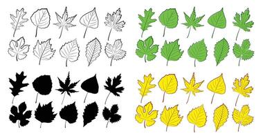 A set of leaves from different trees. vector