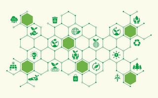 Sustainable business or green business illustration background. with connected icon concepts related to environmental protection and sustainability in business and hexagon vector