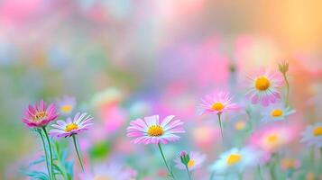 Beautiful flowers in a field with a blurred background photo