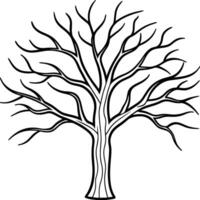Bare Tree Line Art - Elegant Autumn and Fall Illustration vector
