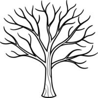 Bare Tree Outline - Minimalist Autumn and Fall Illustration vector