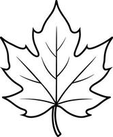 Black Maple Leaf Outline - Simple Leaf Line Art for Coloring and Design vector
