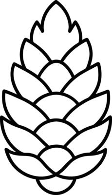 Minimalist Pine Cone Outline - Autumn and Fall Illustration