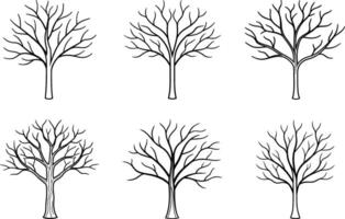 Set of Bare Tree Line Art - Elegant Leafless Tree Collection for Nature and Seasonal Designs vector