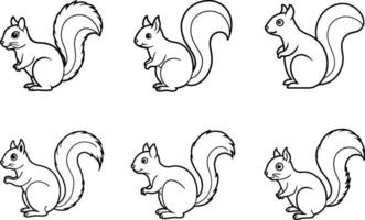 Cute Squirrel Outline Set - Black Illustrations vector