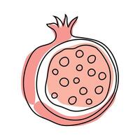 Pomegranate fruit illustration showcasing its unique shape and seed structure in a vivid design vector