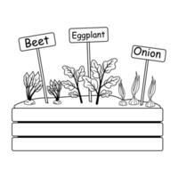 Vegetable garden layout featuring beet, eggplant, and onion growing in a raised bed vector