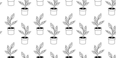 Pattern of line-drawn potted plants on a simple white background vector