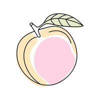 Fresh peach illustration featuring light colors and a green leaf on a white background vector