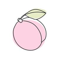 Colorful peach with a leaf on a light background captured in a minimalist style vector