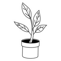 Plant growing in a pot illustrating nature and growth concepts in simple line art style vector