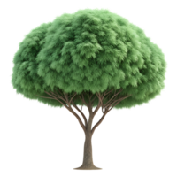 3D Green Fluffy Tree with Fur Effect Isolated on Transparent Background png