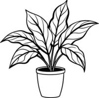 A plant in a pot coloring page vector