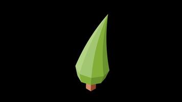 Isometric tree animation. Tree isometric elements. Isometric tree element for landscape design. Park element. Transparent background with alpha channel. video