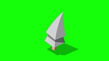 Isometric winter tree animation. Tree isometric elements. Isometric tree element for landscape design. Park element. Motion graphic video