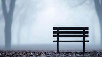 lonely bench in empty foggy park evokes feelings of solitude and tranquility. misty atmosphere and fallen leaves create serene, contemplative scene photo