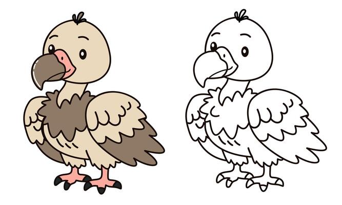 Flat illustration for children's coloring book. Cute vulture bird in black and white and color. Wild animals of safari and Africa
