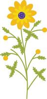 Spring Flower in Yellow Color vector