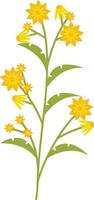 Spring Flower with Yellow Color. vector