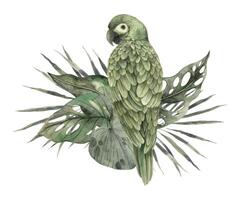 A parrot sits on the tropical leaves of a monstera and palm tree. Handmade watercolor composition in monochrome style. Corresponds to the visual trend of 2024 - floral and plant compositions vector