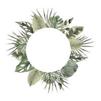 Round frame of various tropical leaves, monstera, fan palm, calathea and others. Watercolor illustration, hand drawn on isolated background. Botanical exotic leaf for various designs vector