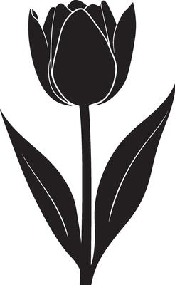 black and white tulip flower silhouette on white background