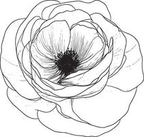 an outline drawing of a flower vector