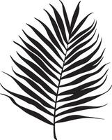 a palm leaf silhouette on a white background vector